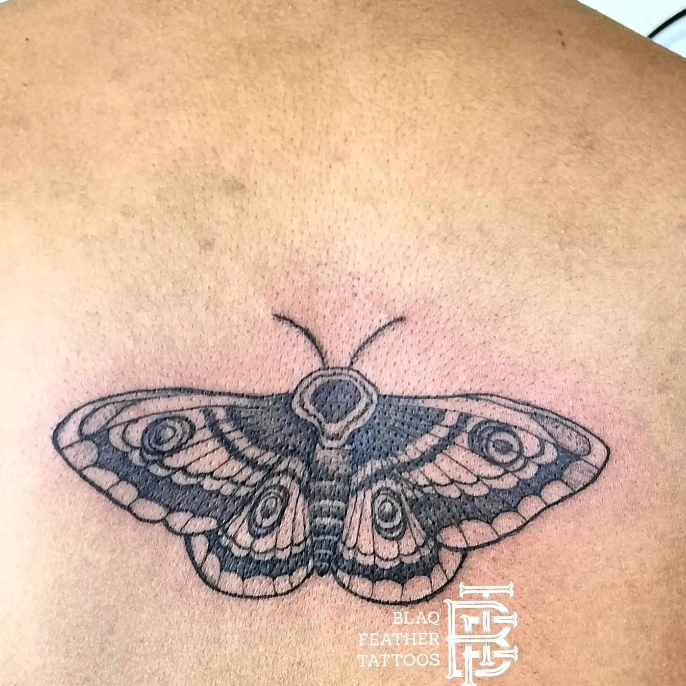 Moth — Blackwork by BlaQ Feather