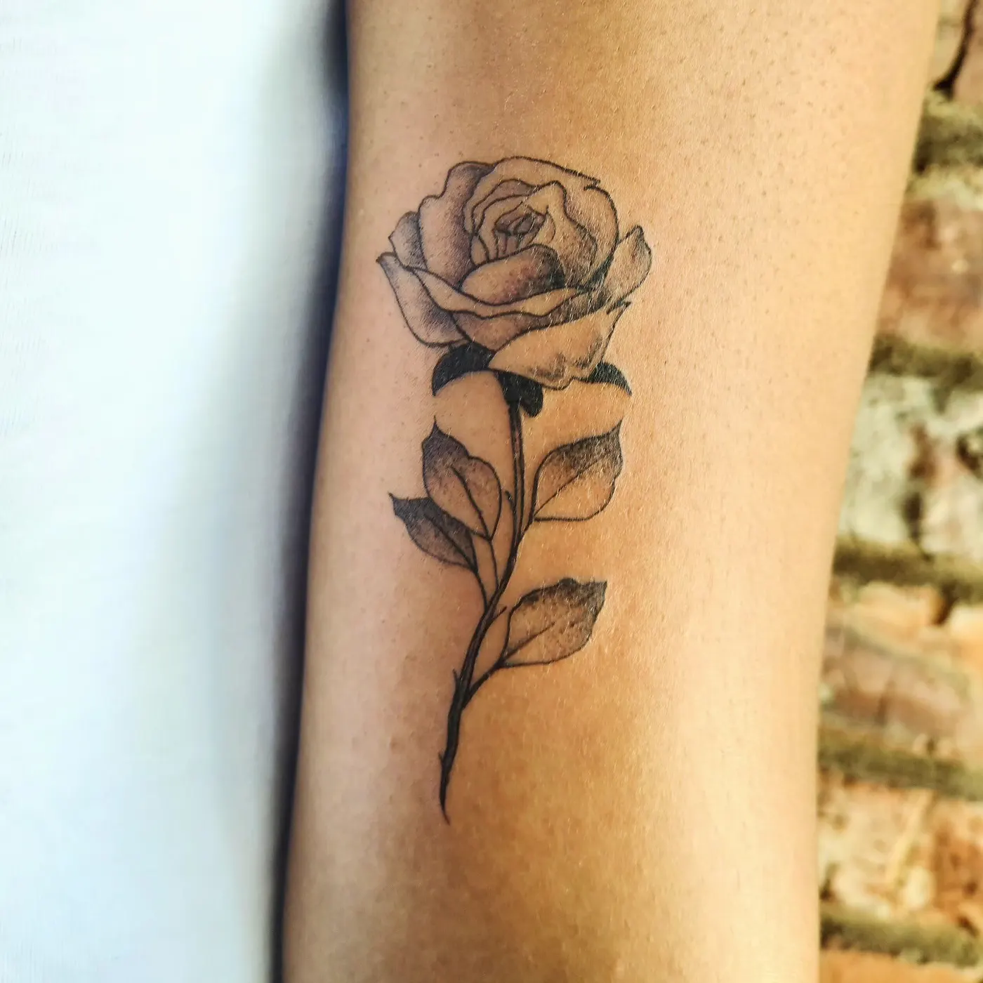 Rose — Fine line by BlaQ Feather
