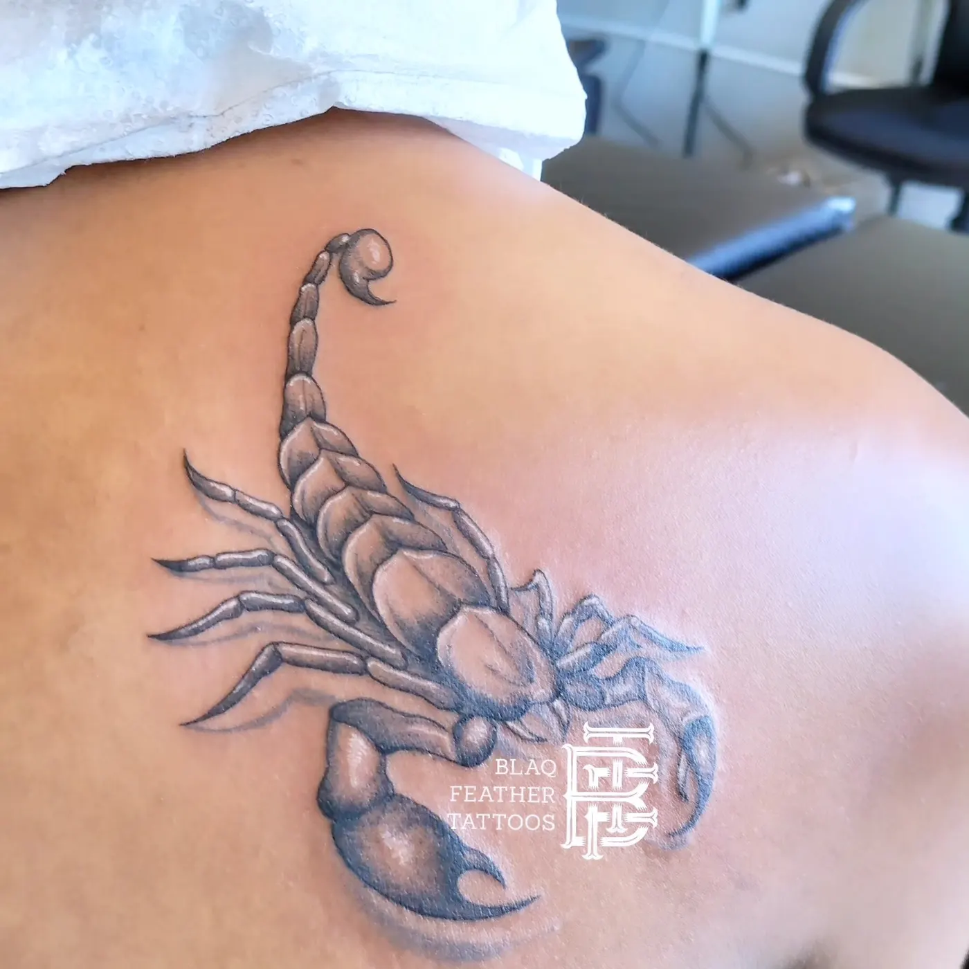 Scorpion — Illustrative by BlaQ Feather